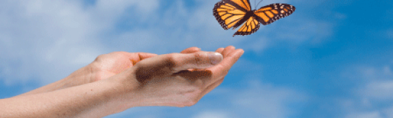Controlling Negative Emotions