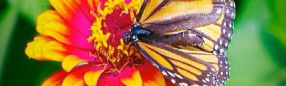 LIFE IS ABOUT GIVING AND RECEIVING
