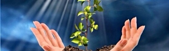 PLANT A SEED OF FAITH