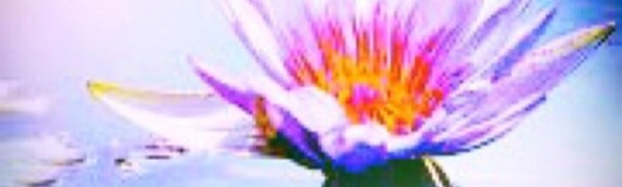 CLARITY OF HEART AND MIND