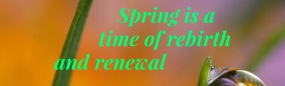 SPRING IS A TIME OF REBIRTH AND RENEWAL