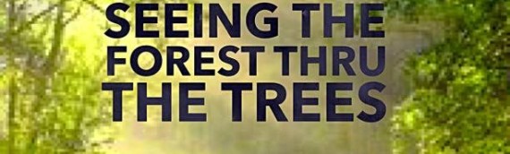 SEEING THE FOREST THRU THE TREES